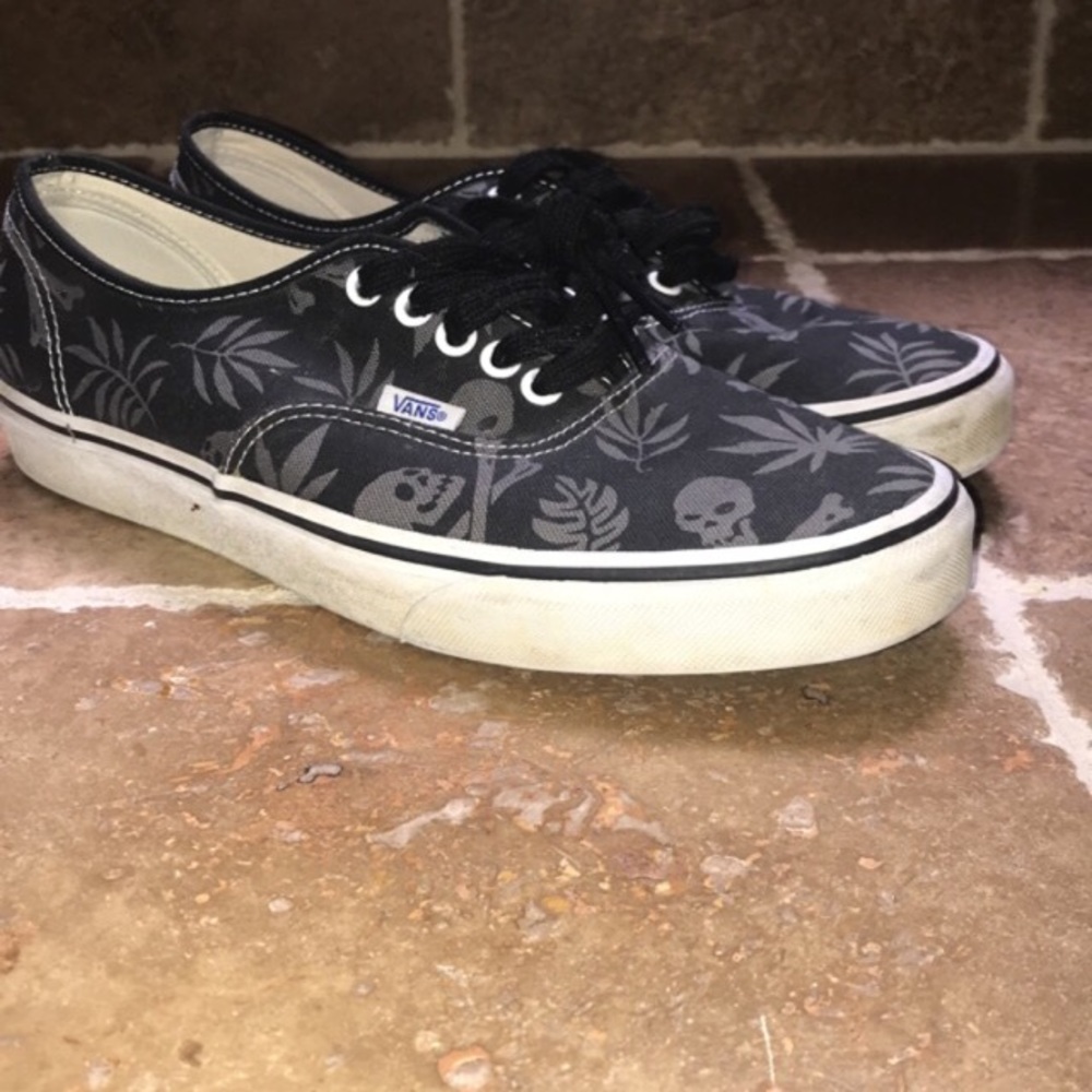 Vans casual skate shoes